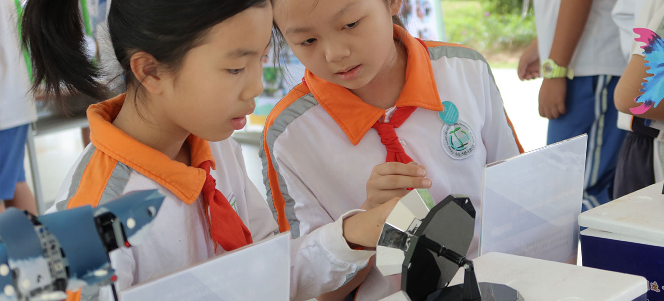 东莞南城阳光第五小学